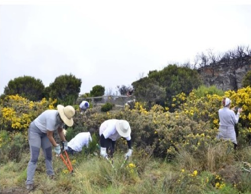 Projet intégré de restauration des milieux naturels de La Réunion