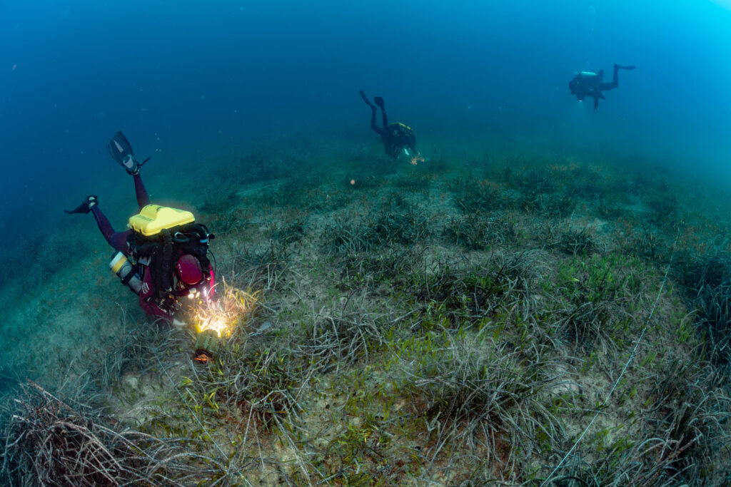 Projet REPIC : Restaurer la Posidonie Impactée par les anCres d'Andromède Océanologie. Crédit photo Laurent Ballesta