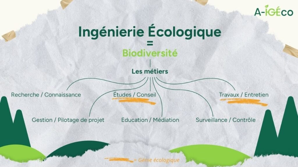 Affiche qui synthétise les 6 familles des métiers de la biodiversité. Crédit A-IGEco
