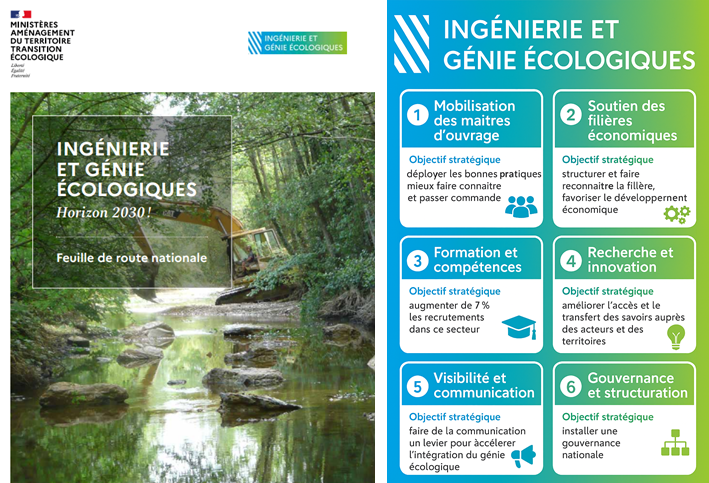 Une Feuille de route nationale pour l’ingénierie et le génie écologiques jusqu’en 2030 !