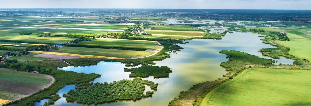 Etude prospective sur les métiers et compétences de la biodiversité à l’horizon 2030