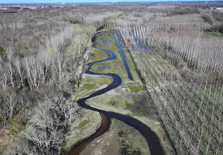 La Jalle de Tiquetorte : retrouver le fonctionnement naturel d&rsquo;une rivière et de son marais (33)