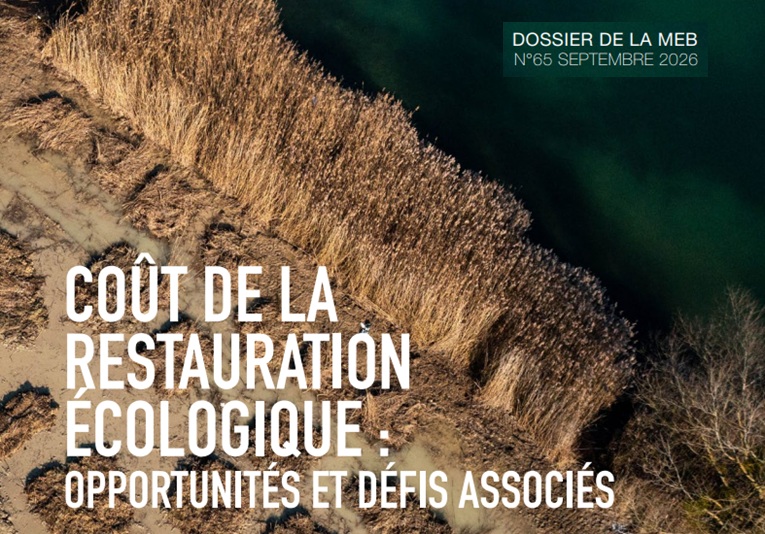Mieux connaître les coûts de la restauration écologique : une étude vient de paraître