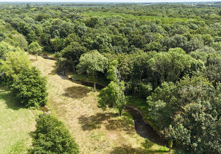 Restauration écologique du Lathan et de ses annexes pour favoriser sa résilience climatique (49)